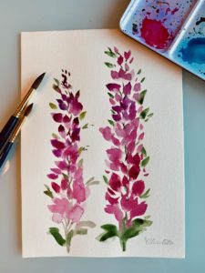 Lupine (Aquarell)