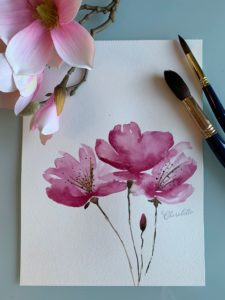 Magnolie (Aquarell)