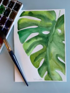Monstera (Aquarell)