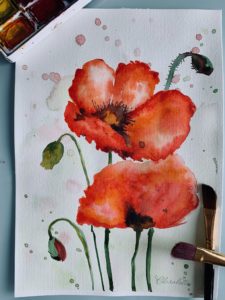 Mohnblume (Aquarell)