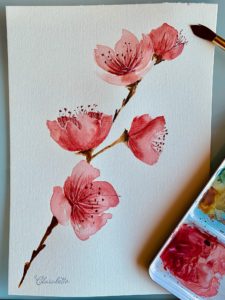 Kirschblüte (Aquarell)