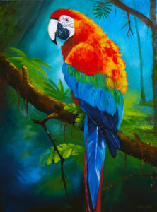 Arara