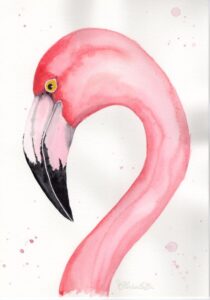 Flamingo