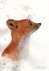 Fuchs