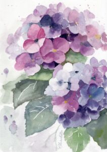 Hortensia