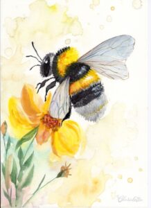 Hummel