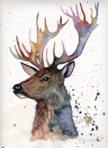 I deer you