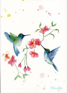 Kolibri