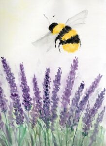 Lavendel_Hummel