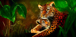 Leopard