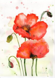 Mohnblume