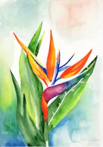 Papageien Blume