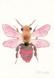 Schmetterling