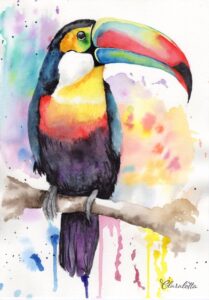 Tucan