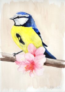 kleine Meise