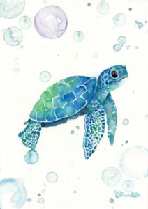 kleine Schildkröte